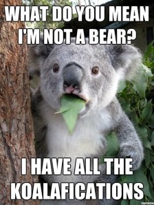 24028683cd1bb4934bd7273fc0a3860c