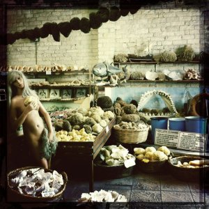 248488_10150270476440400_6509767_n