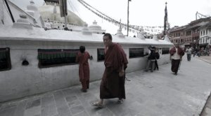 335_37305840399_9426_n