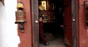 335_37308105399_1176_n