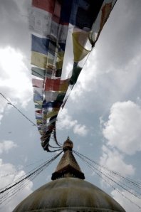 335_37308110399_1531_n