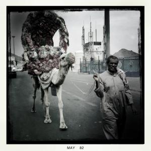 524213_10151540222030400_1759819448_n