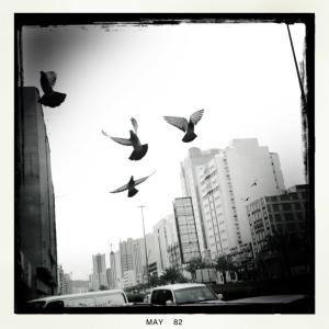 546343_10151540240705400_640069918_n