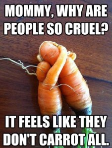 d1465f1938778bec07e043329c837f13