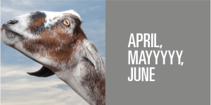 Screen Shot 2013-03-12 at 4.07.07 PM