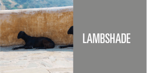 Screen Shot 2013-03-12 at 4.07.39 PM