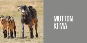 Screen Shot 2013-03-12 at 4.07.55 PM