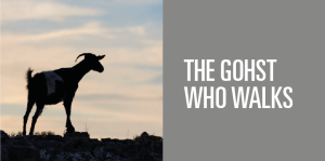 Screen Shot 2013-03-12 at 4.08.01 PM